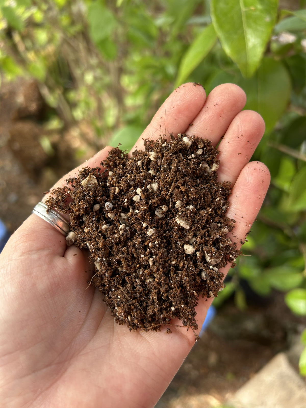 Hughes #4 Soil Blend (1G)