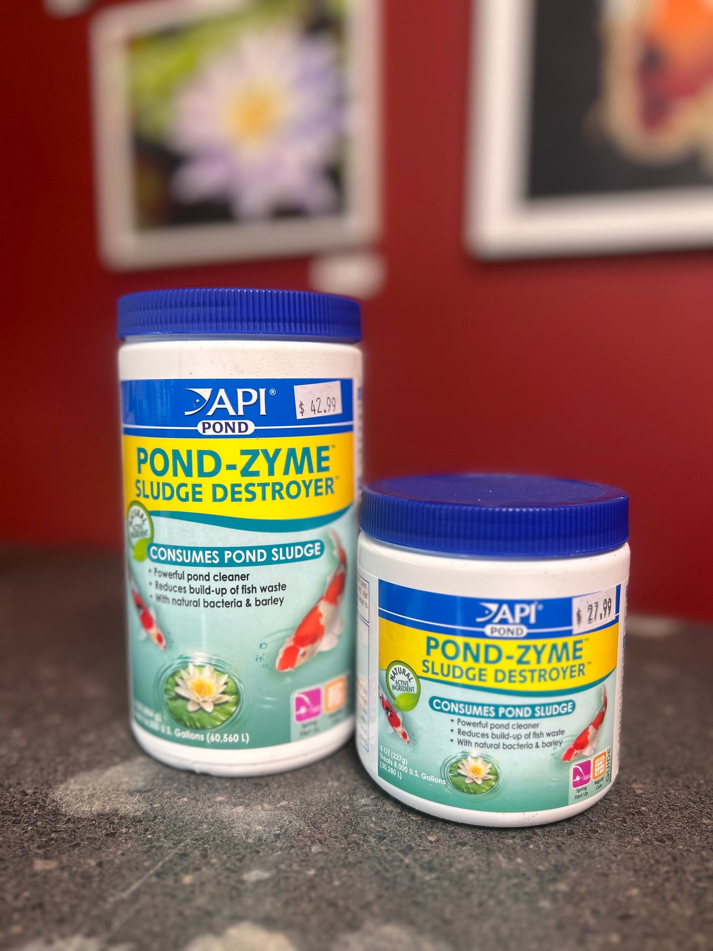 API Pond Zyme Sludge Destroyer