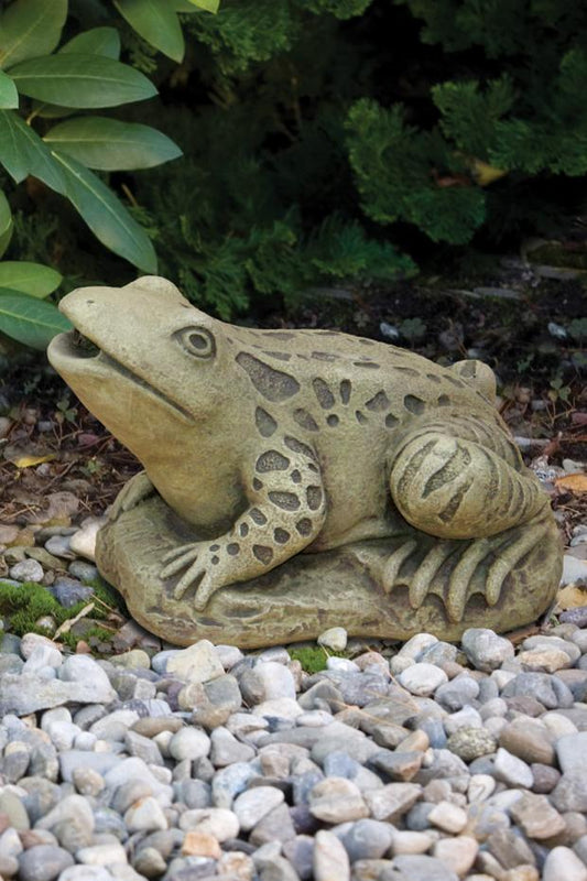 Massarelli Large Frog Spitter 2026