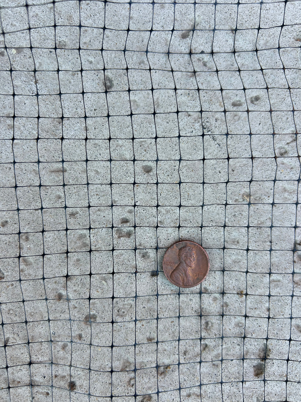 Dalen Pond Netting