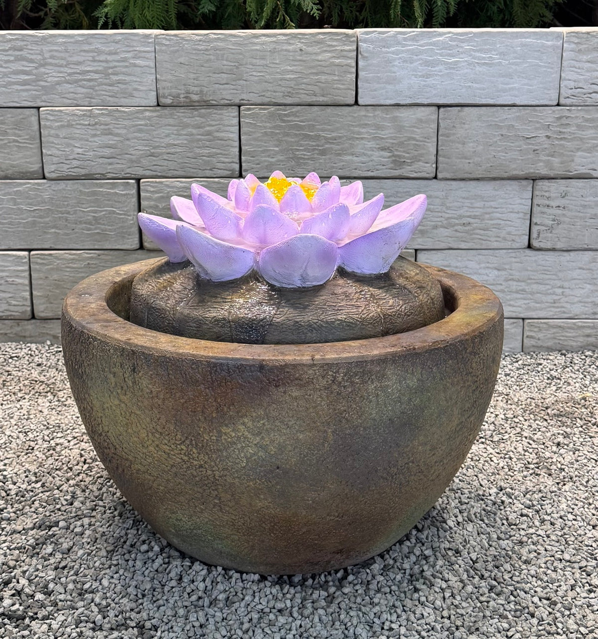 Henri's Lotus Ftn. 2026