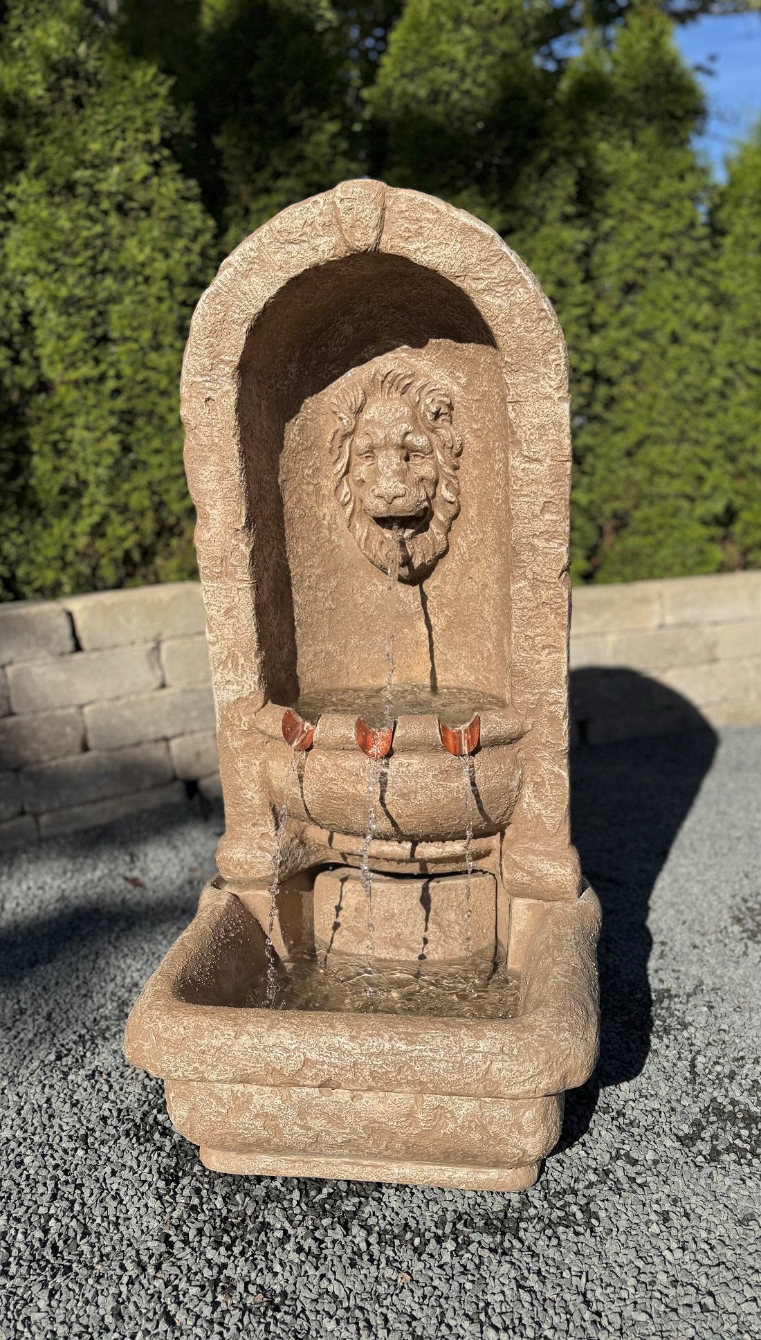 Henri's Lion Alcove Ftn. 2025