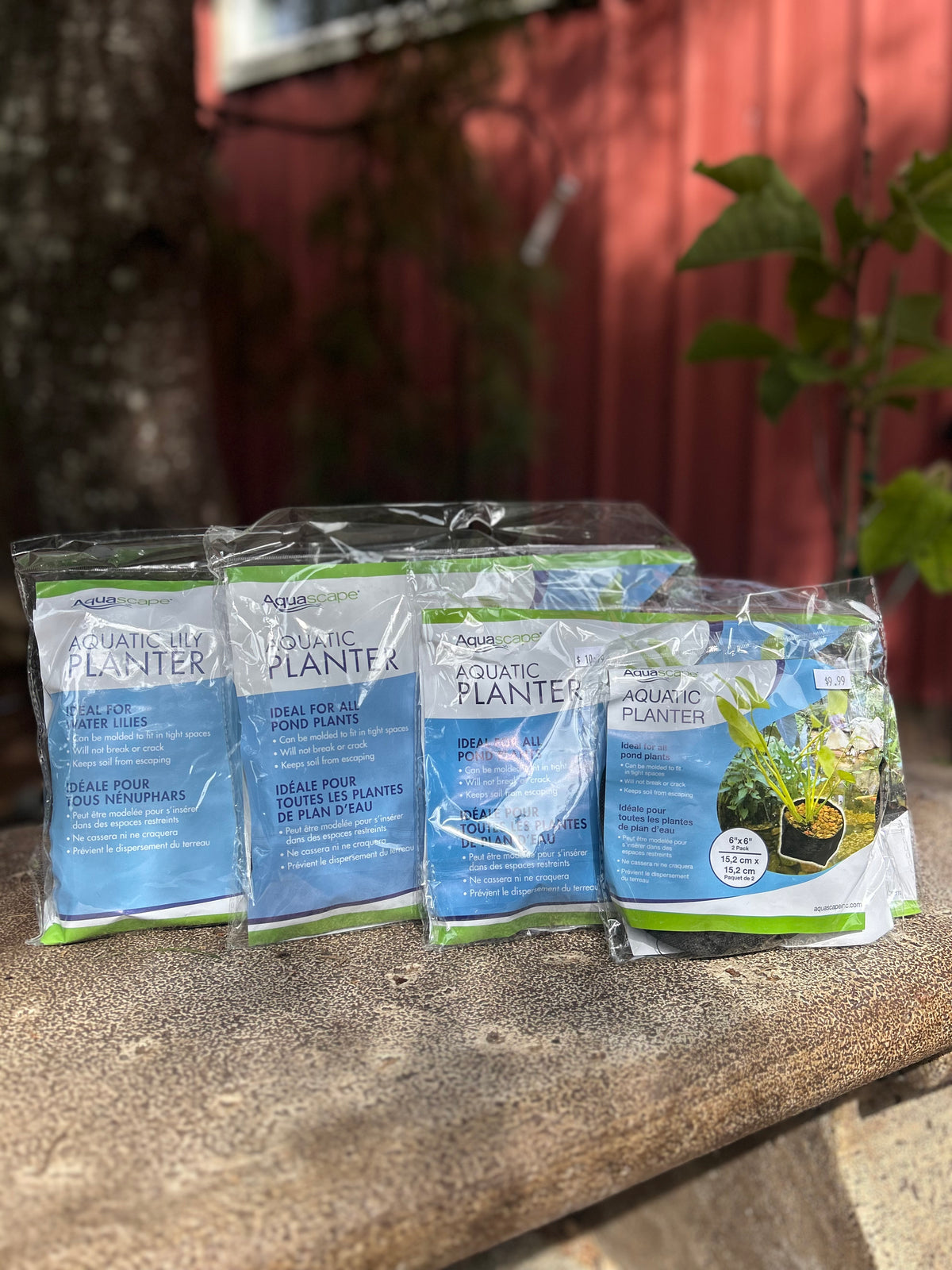 Aquascape Aquatic Planter