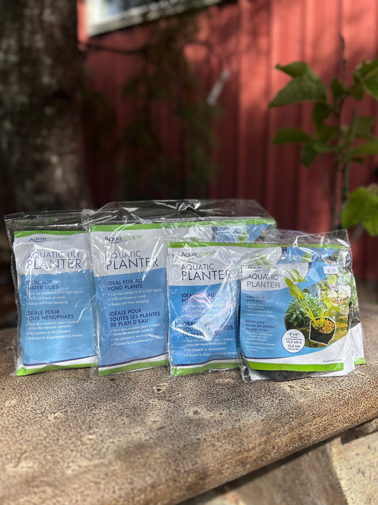 Aquascape Aquatic Planter