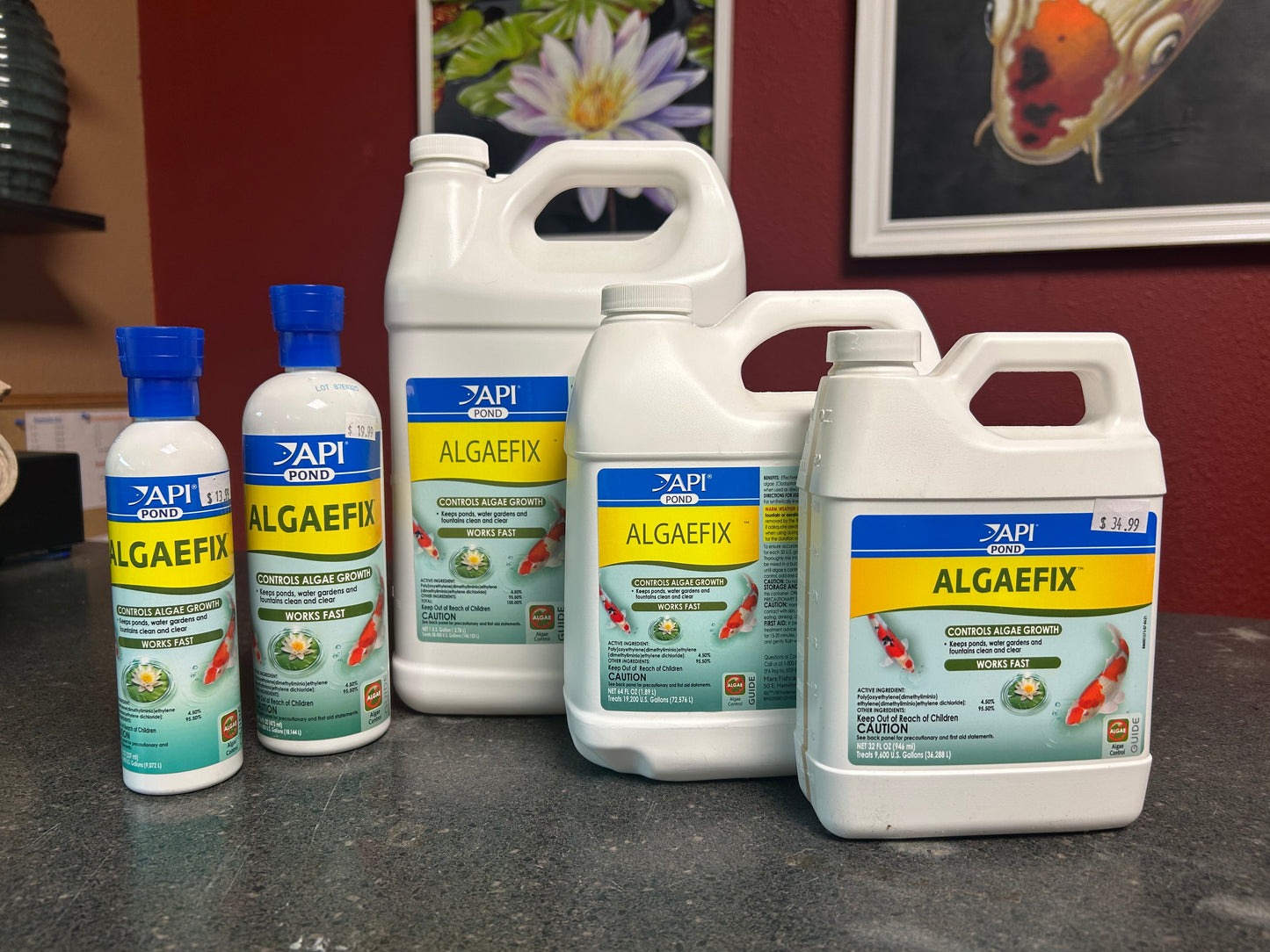 API Algaefix