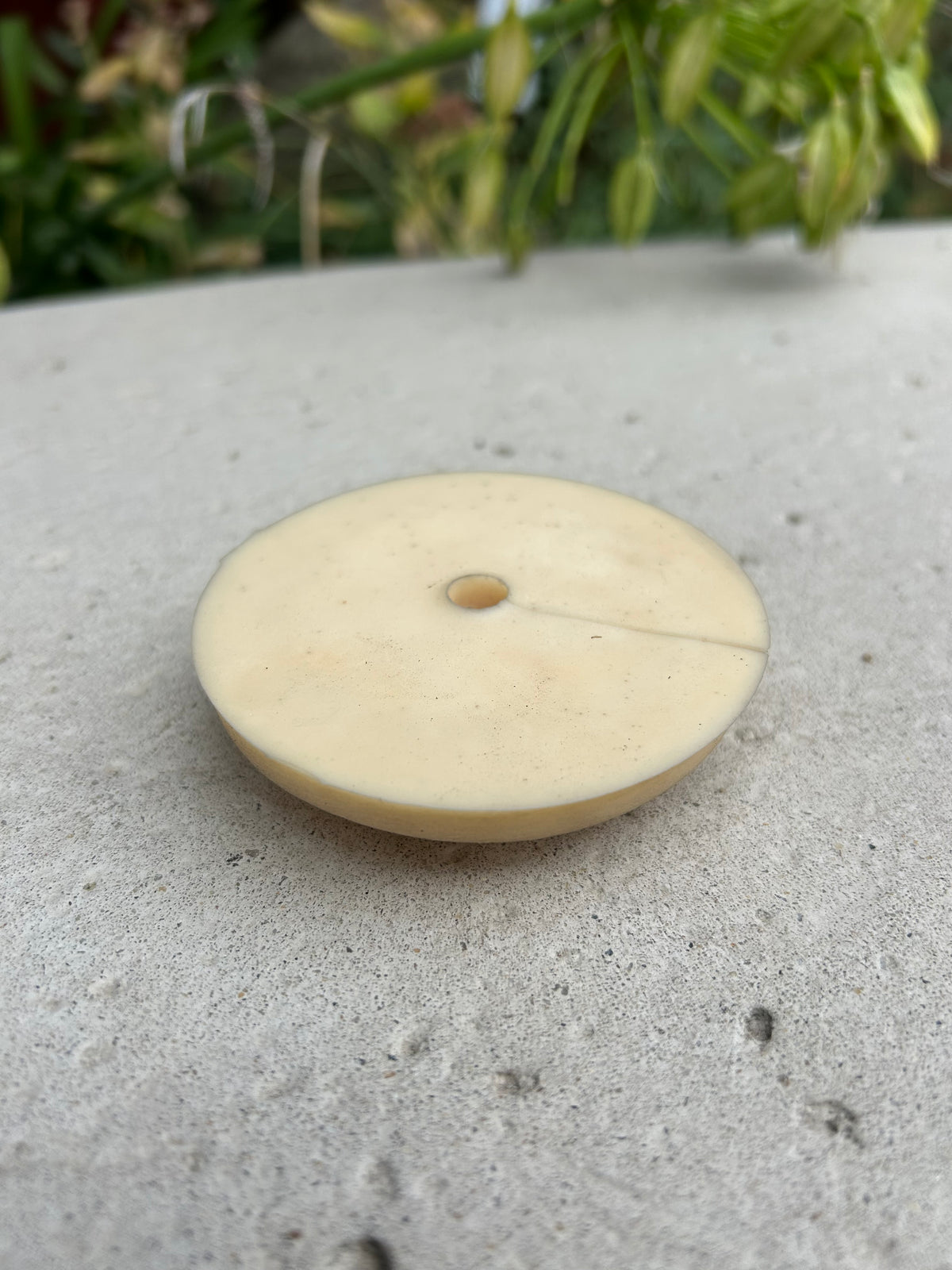 Campania Stopper #10