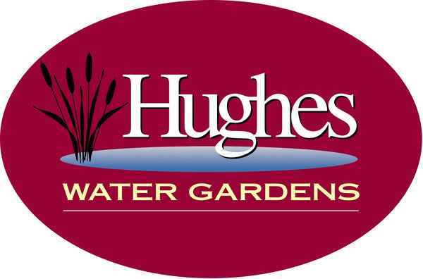 Hughes Water Garden's Online Store