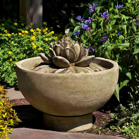 Campania's Smithsonian Lotus Fountain 2025